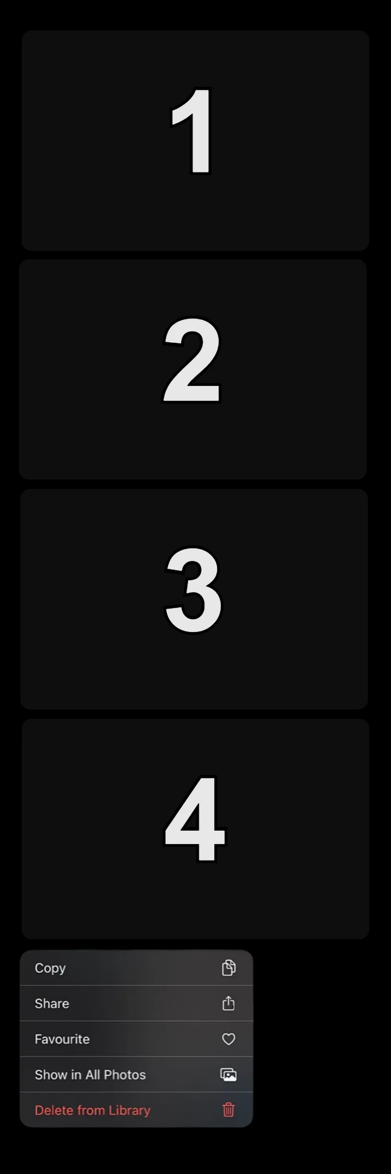🖤 Photo Options (Dark)